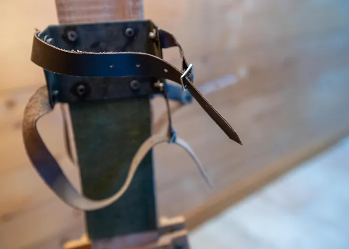 Leopard De Neige La Tzoumaz