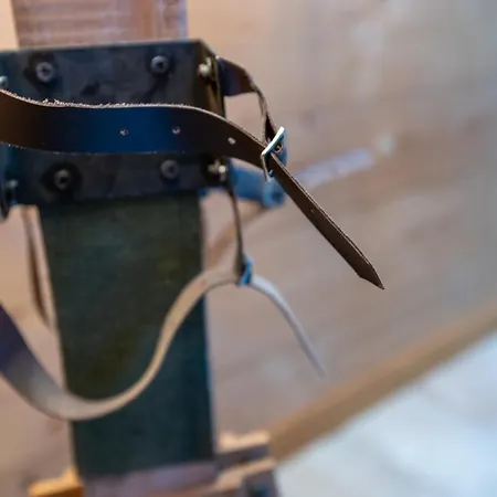 Leopard De Neige 라 초우마츠